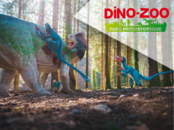 Dino Zoo