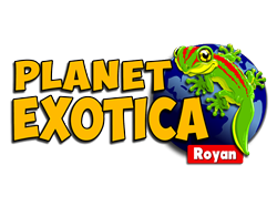 Planet Exotica