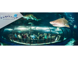 Aquarium de Barcelone