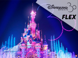Disneyland - FLEX