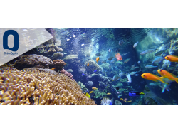 Oceanopolis (E-Billets)