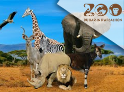 Zoo Bassin d'Arcachon (E-Billets)