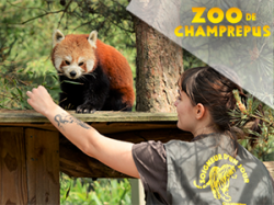 Zoo Champrepus - Villedieu-les-Poeles