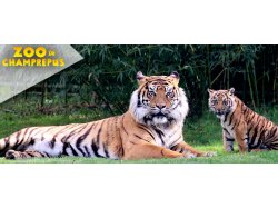 Zoo Champrepus (E-billets)