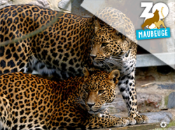 Zoo de Maubeuge