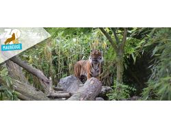Zoo de Maubeuge